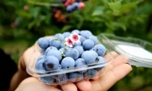 Nên ăn uống gì để thận khỏe?