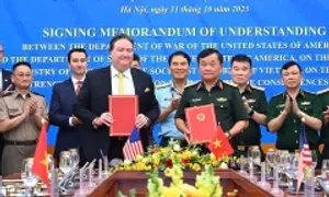 Việt Nam - Mỹ cam kết tiếp tục khắc phục hậu quả chiến tranh