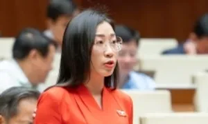 'Người mua hàng tin vào người nổi tiếng hơn tem kiểm định'